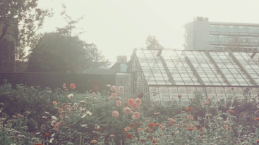 Marjolijn Polman goed nieuws foto