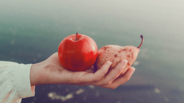 groente en fruit bewaren