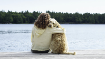 nieuwe prikkels opzoeken