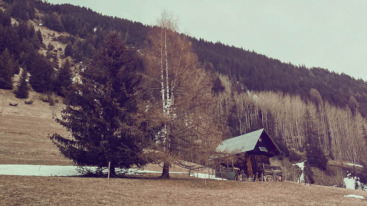 Winteren Petra Kroon