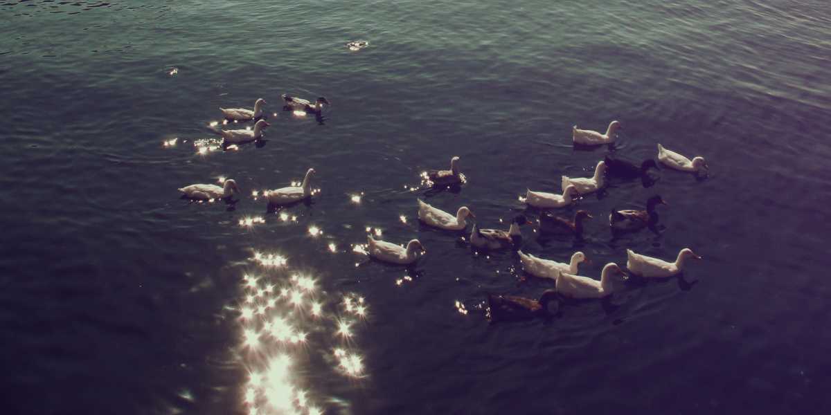 Deze psychoanalyticus legt uit waarom je juist níét altijd het onderste