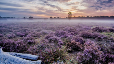 wandelen noord brabant