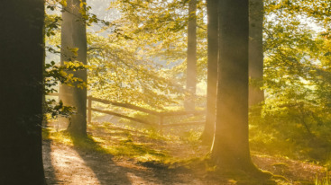 waar wandelen in Utrecht