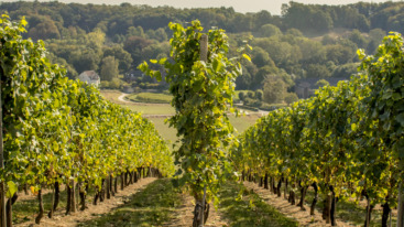 waar wandelen in limburg