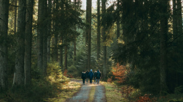 wandelroute van het jaar 2024