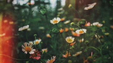 Guerillatuin beginnen