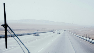 actiemodus zenuwstelsel