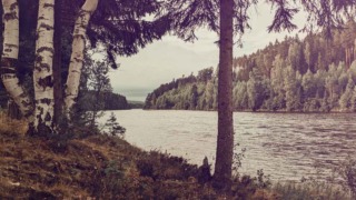 slow life manifest