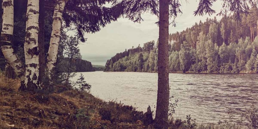 slow life manifest
