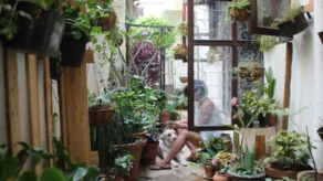 Kleine tuin tips