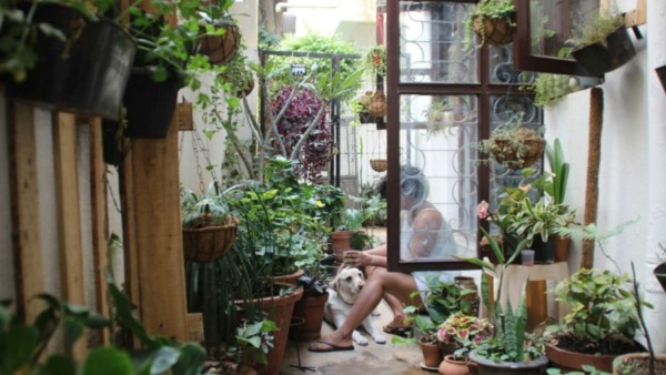 Kleine tuin tips