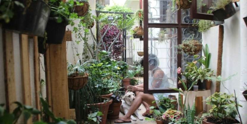 Kleine tuin tips