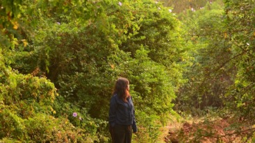 dagretraites in nederland