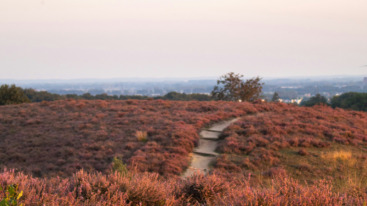 waar wandelen in Gelderland