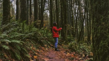 boswandeling nederland