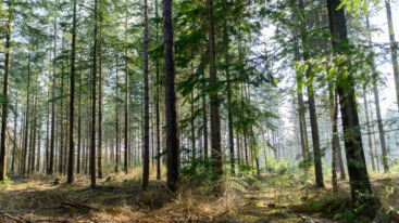 waar wandelen in overijssel