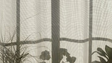 Levenslessen van Eva Posthuma de Boer