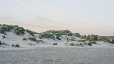 wandelen in de duinen