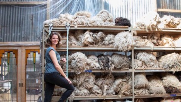 9 2 24 schapen kudden