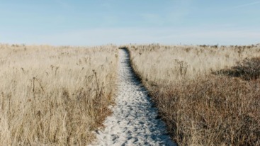 Wandelen in de natuur