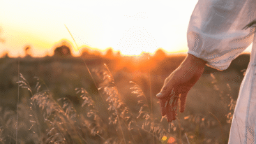 Offline themacampagne