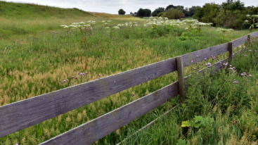 waar wandelen in Friesland