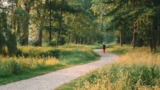 Wandelen in Nederland