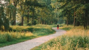 Wandelen in Nederland