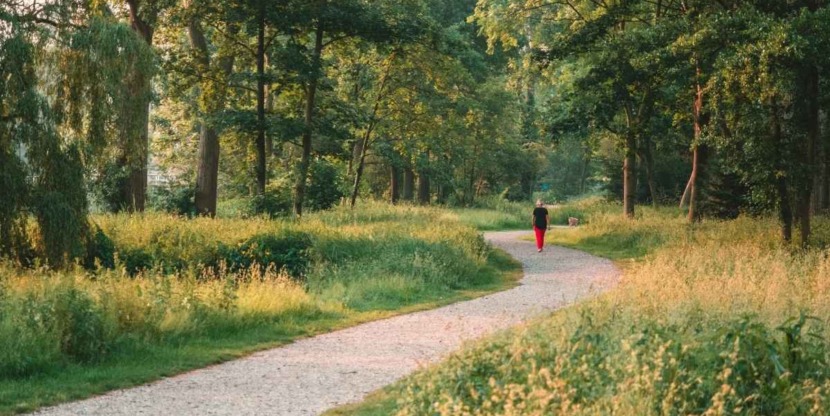 Wandelen in Nederland