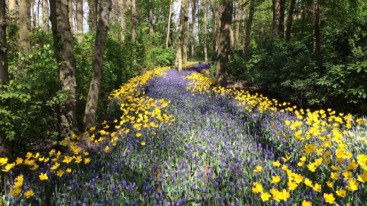 waar wandelen in Nederland