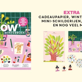 Tips tegen een winterdip? Of zoek je een nieuwe hobby? Check het nieuwe Flow Winterboek met DIY’s, verhalen en paper goodies
