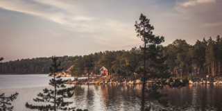 emigreren naar Zweden