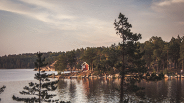 emigreren naar Zweden