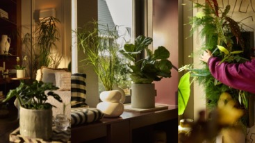 FLOW-bloemenbureau-1200×600