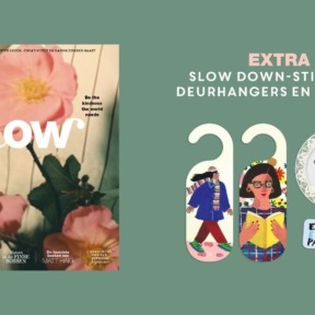 In Flow 2 leer je efficiënt je spullen opruimen, je liefdestaal begrijpen en je focus verbeteren