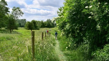 Wandelroute van het jaar 2025