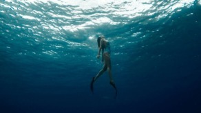 International Ocean Film Tour