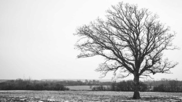 Oude geloofsovertuigingen loslaten