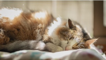 moe wakker na veel dromen