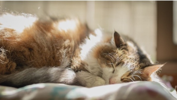 moe wakker na veel dromen