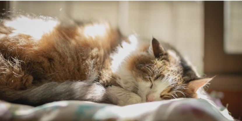 moe wakker na veel dromen