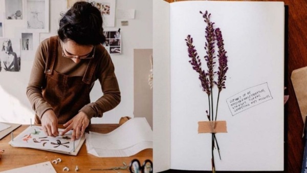 herbarium