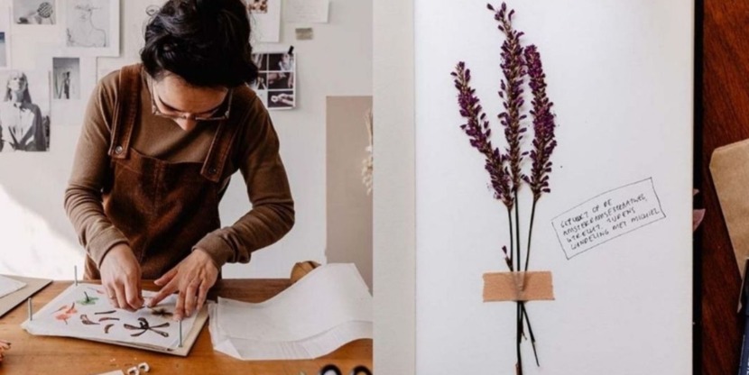 herbarium