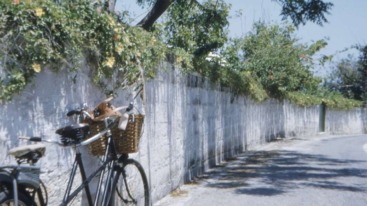 wat we kunnen leren van de journée citoyenne