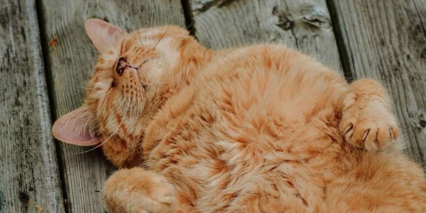 Op de grond liggen kan ontspannend werken