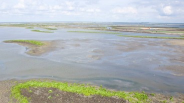 Nieuw Land, een van de nieuwste nationale parken in Nederland