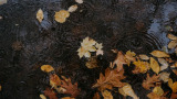 regen in de herfst