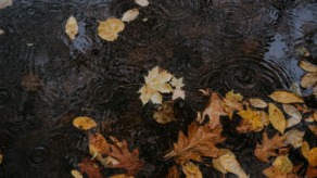 regen in de herfst