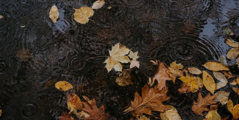 regen in de herfst