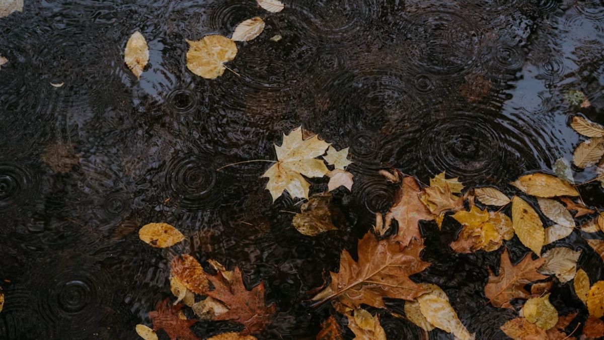 Regenachtige dag? Pak je plu en ga naar buiten – dit zijn 3 verrassende voordelen